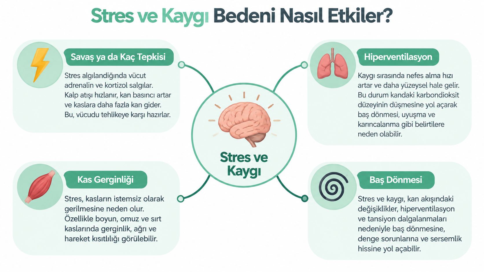 Stres ve kaygının vücut üzerindeki fiziksel etkilerini, savaş ya da kaç tepkisi ve belirtilerini gösteren bilgilendirici grafik.